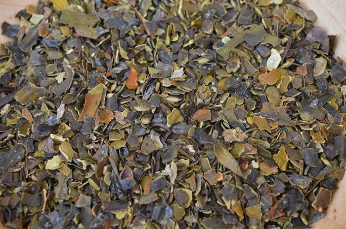 Bio Blasentang Bladderwrack 50g 1