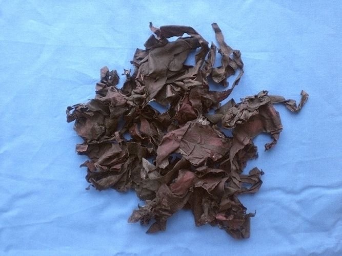 Bio Dulse Groß 2000g