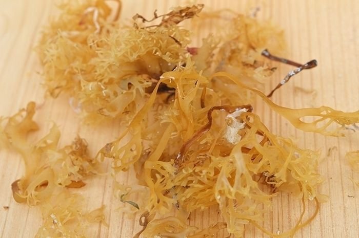 Bio-Irish Moss (Carrageen Alge) hell, 1000&nbsp;g