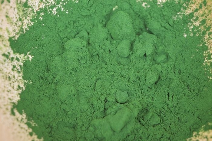 Chlorella Pulver 200g